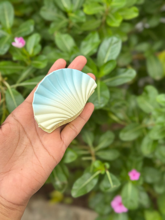 Shell Claws
