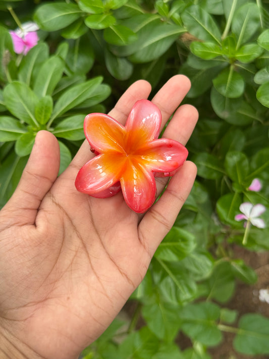 Glassy candy claw
