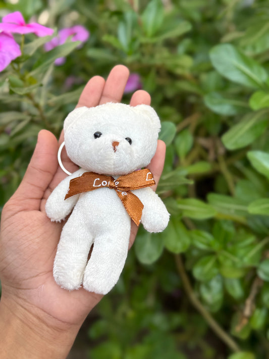 Teddy keychains