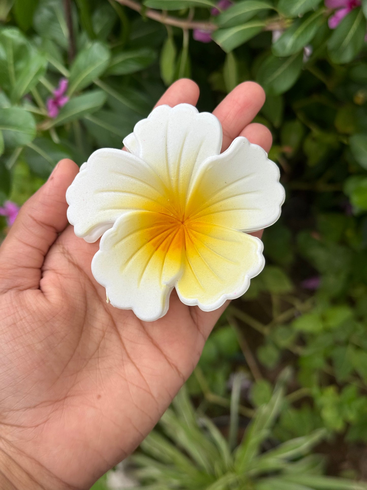 Hibiscus Matte