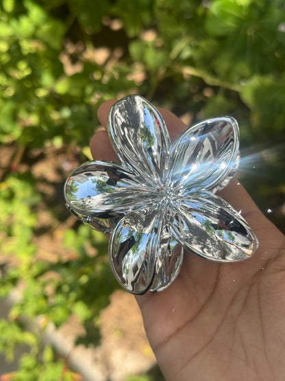 Foil Big Claw