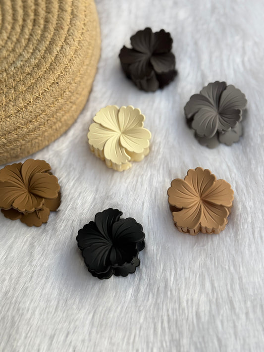 Small Hibiscus
