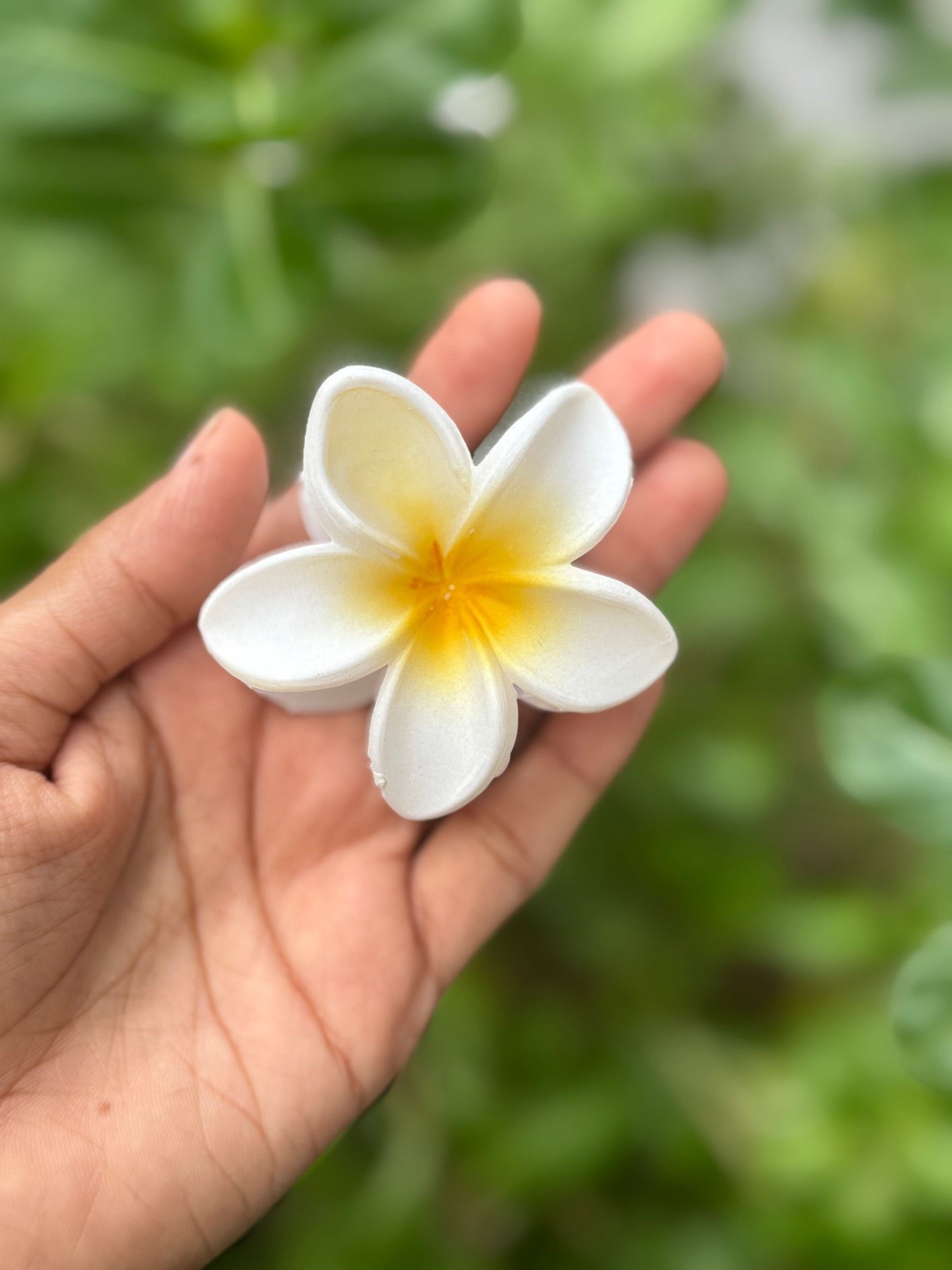 Matte Hawai
