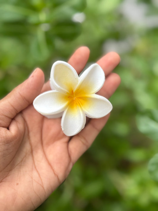 Matte Hawai