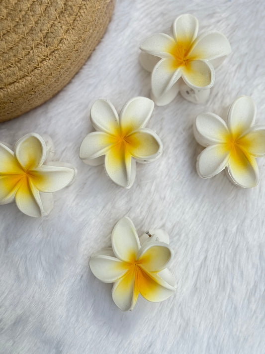 Matte Hawai